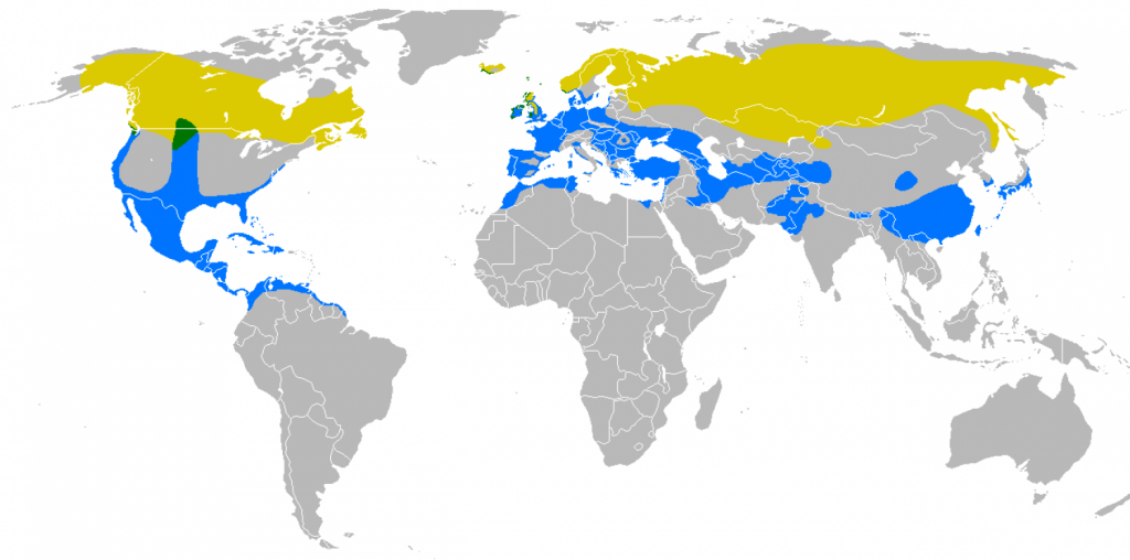 Merlins range map