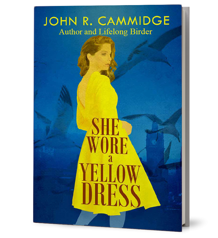 She Wore A Yellow Dress