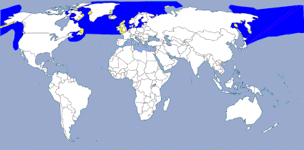 Northern fulmar range map