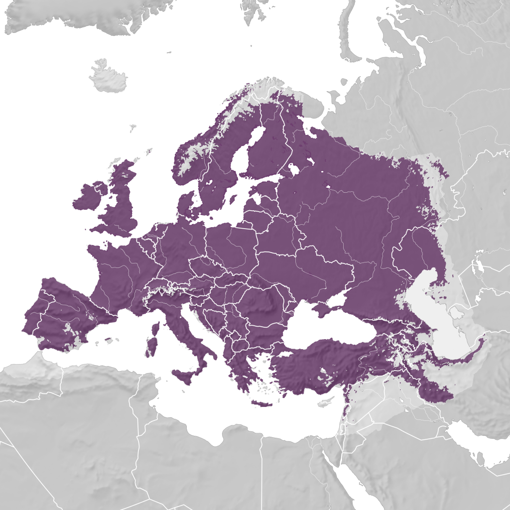 Blue tit Range Map