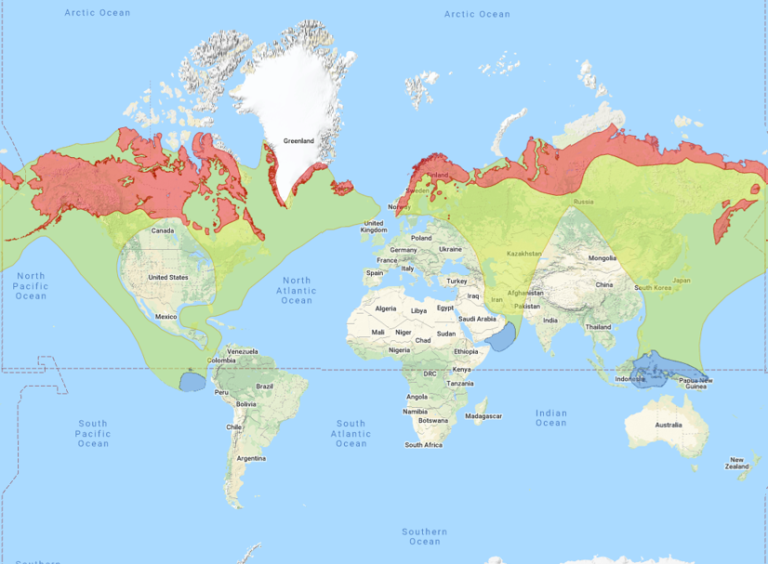 Red-necked phalarope Range Map: pink – breeding; green – migration; blue – winter.
