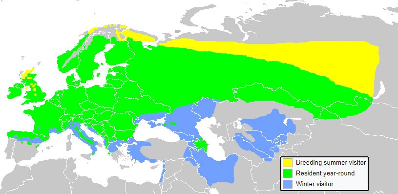 Yellowhammer range map