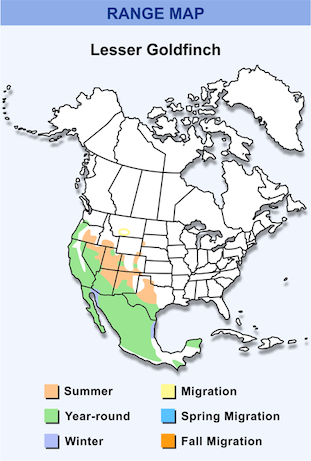 Lesser goldfinch Range Map