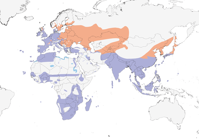Common moorhen Range Map