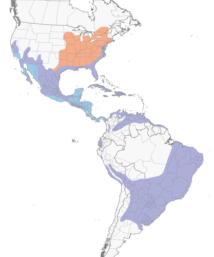 Common gallinule Range Map