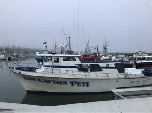 The Captain Pete boat, the vessel for my pelagic bird watching adventure