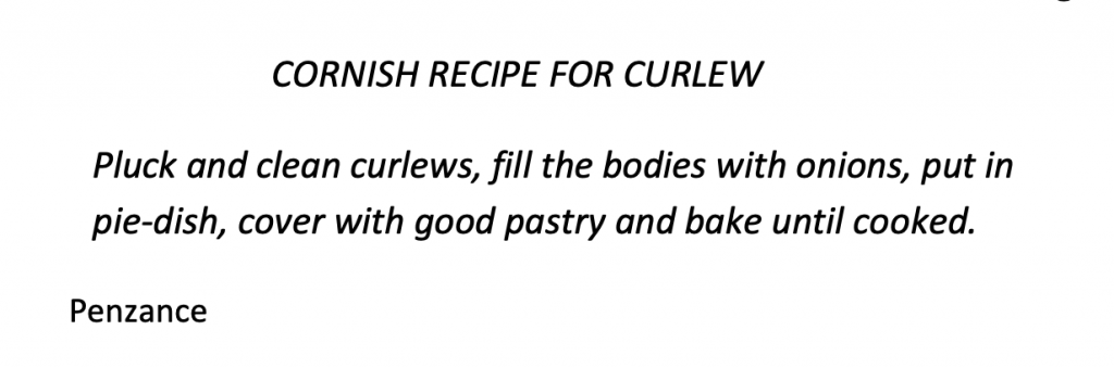 curlew recipe