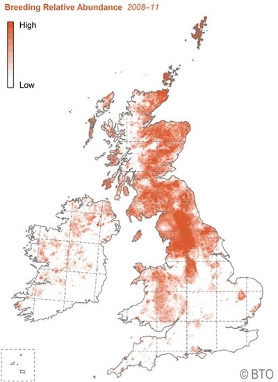 Curlew nest locations