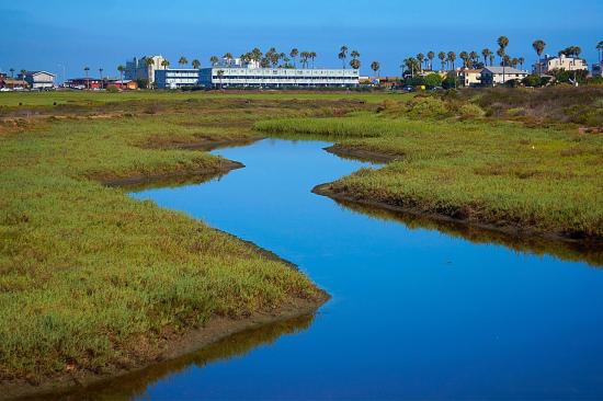 Tijuana Wildlife Reserve