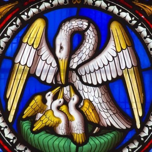Pelican Stained glass