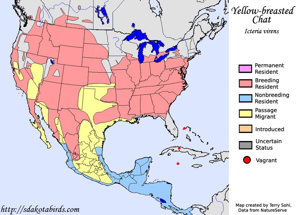 yellow breasted chat bird - range map