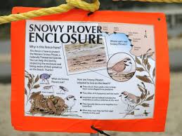 Western Snowy Plover Enclosure Sign