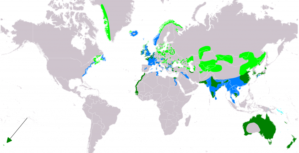 Range map for great cormorant