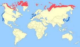 Brent goose Range map