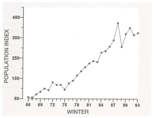 Canada Geese trends in the UK