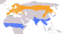 Eurasian wryneck Range Map