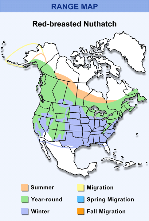 Red-breasted nuthatch Range Map