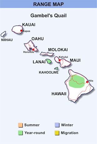 Gambel's quail Hawaii range map