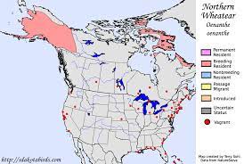 Northern Wheatear North America Range Map