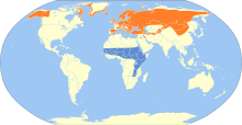 Northern Wheatear Range Map