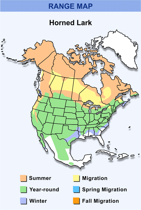 Horned Lark: North America Range Map