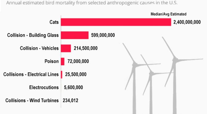 Wind Turbine Deaths: It Happens!!