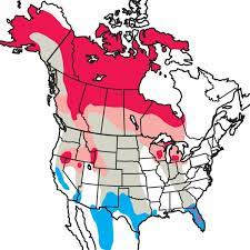 Sandhill Cranes Range Map