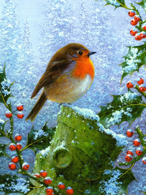 Winter Robin Christmas Card