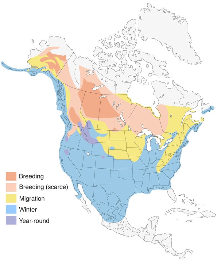 Buffleheads Range Map