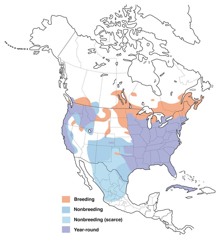 Wood Duck Range Map