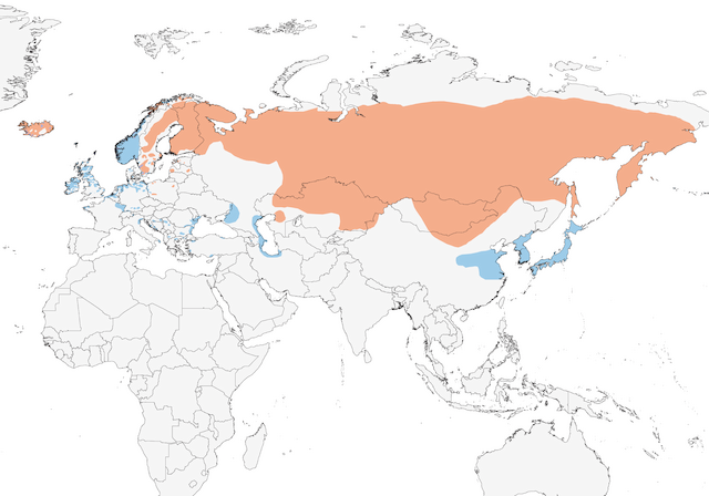 Whooper Swan Range Map