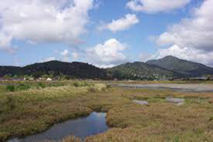 Corte Madera Ecological Reserve