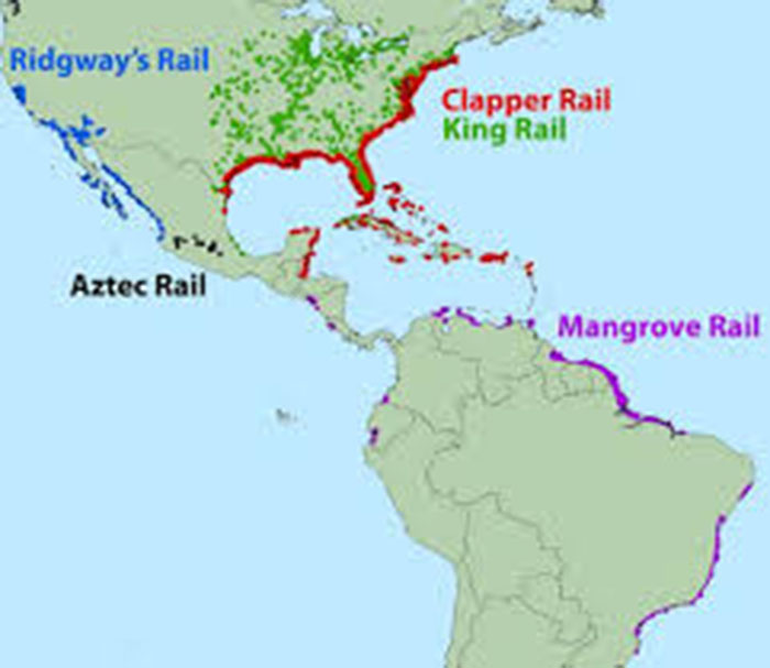 2014 Introduction of new rail species