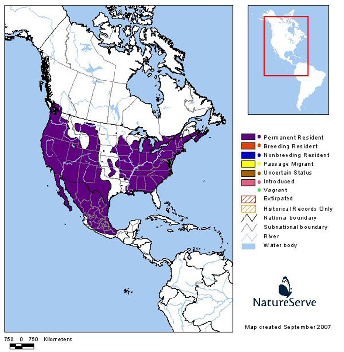 House Finch Distribution Map