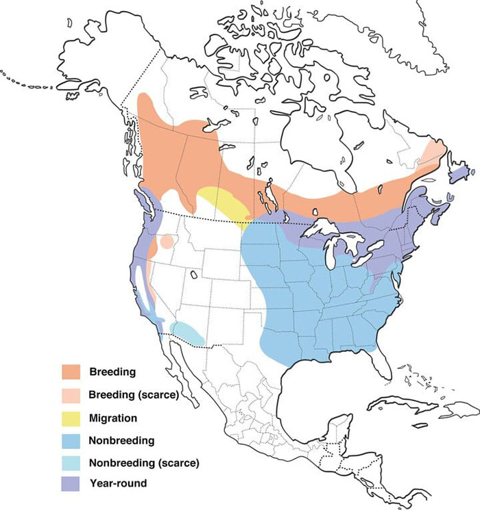 Purple Finch Distribution Map