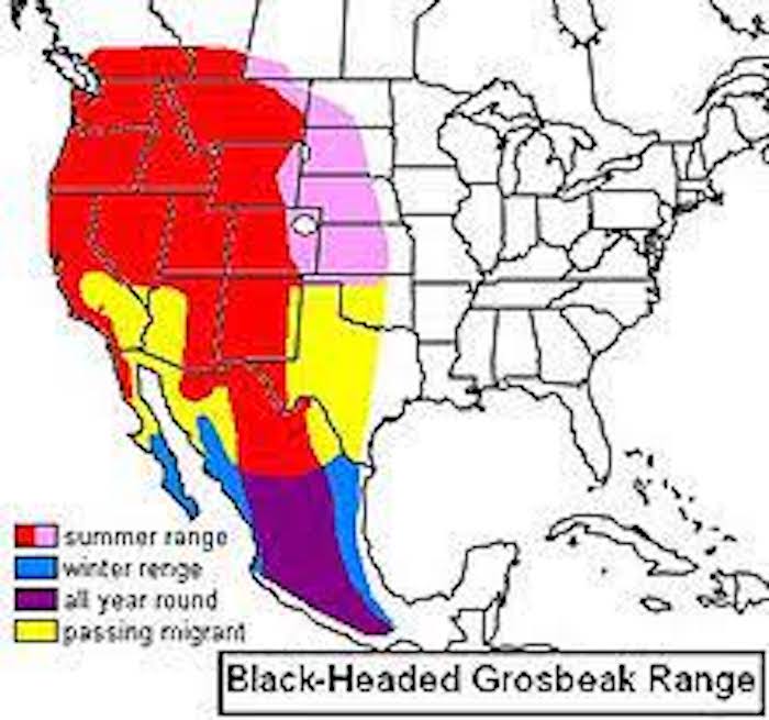 Black-headed Grosbeak Range