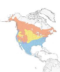 Hermit Thrush Range Map