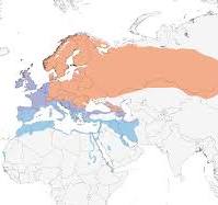 Song Thrush Range Map