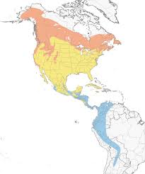 Swainson's Thrush Range Map