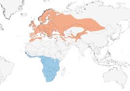 Spotted Flycatcher Range Map