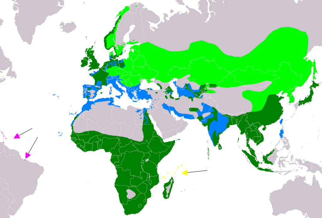 Gray Heron Range Map