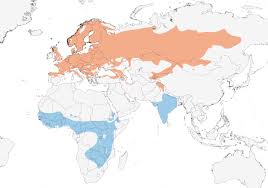 Tree Pipit Distribution