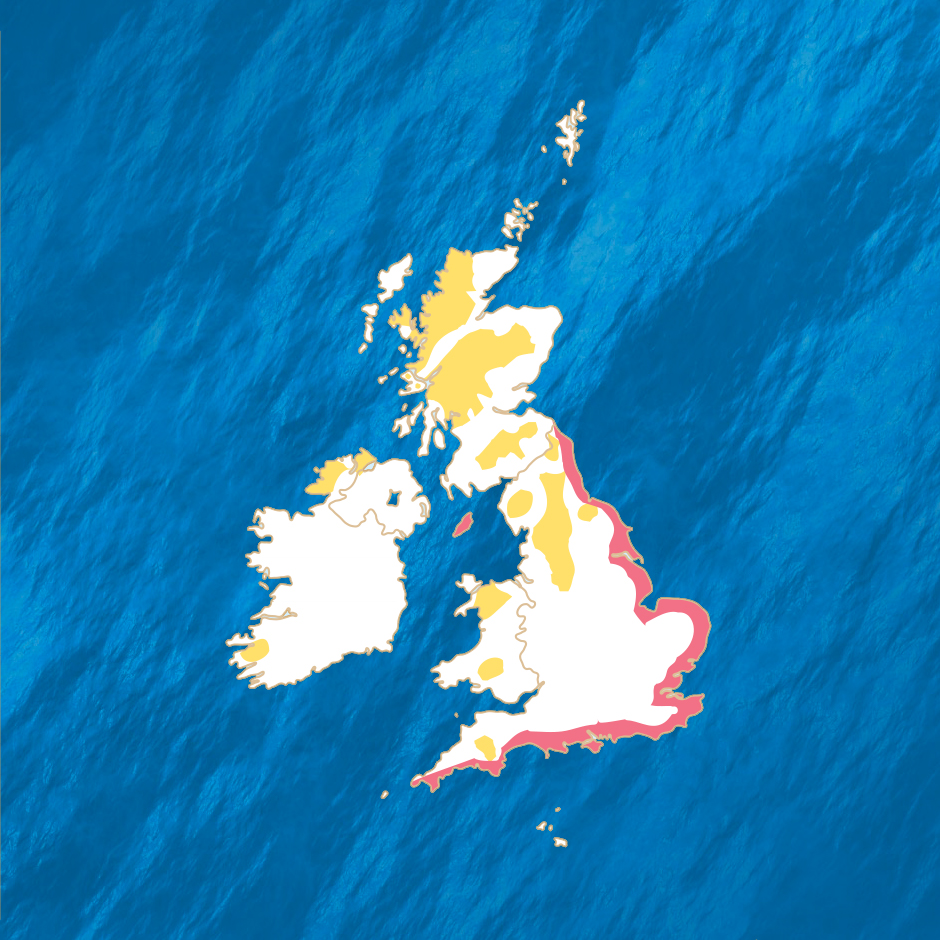 Ring Ouzel UK Distribution