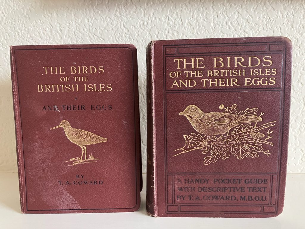 Field Bird Books 1920s, key writings about the history of birdwatching