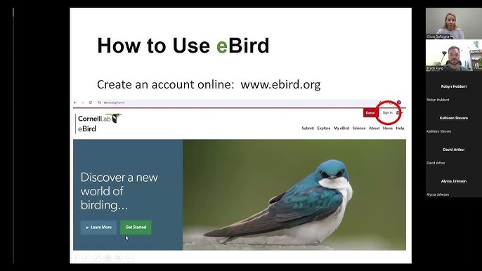 How to use eBird