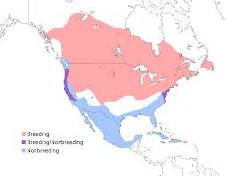 North American Bittern Range