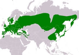 Eurasian Nuthatch Range Map