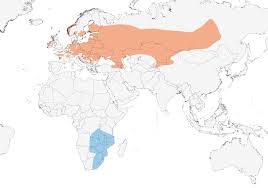 Corn Crake Range