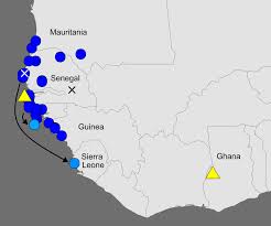 UK Nightingales in West Africa